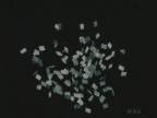 Fragments d'�toiles : Drapeau