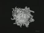 �crits : G�om�trie A�rienne