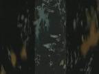 Haze : Vague Stars