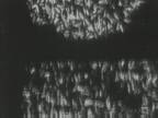 Bees : Bodily Swarming