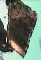 �I : �߂���