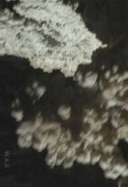 Cave : Comb Wall