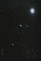 Fragments d'�toiles : Signe N�on