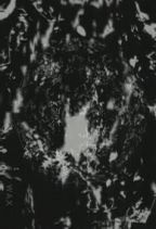 Haze : Vague Stars