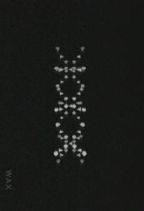 X-Shape : Family
