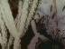 T�l� Ou Pas : Arroseurs