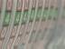 �crits : Signes Anim�es