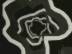 Rond a Nouveau : C�nes