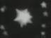 Fragments d'�toiles : Explorer les Terreurs